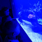 Aquarium